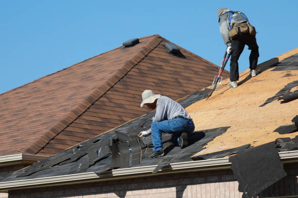 Professional  Roofing repair and installation in Bamberg, SC