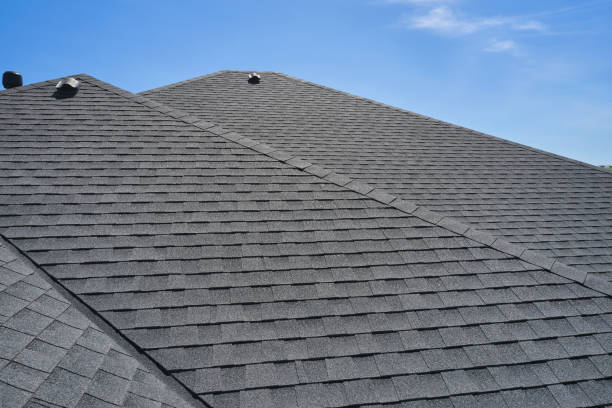 Best Solar Panel Roofing Installation  in Bamberg, SC